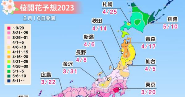 桜開花予想、2023年の全国トップは東京と福岡。全国的に平年並みかやや早い見込み