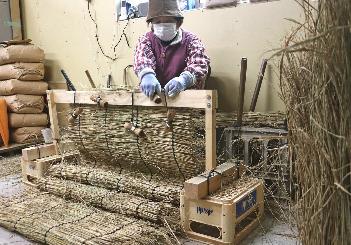 茶の新芽守る伝統の「こも」編み、昔ながらにわら束ね　京都・城陽