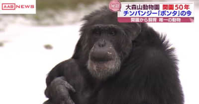 開園５０年の大森山動物園 51歳のチンパンジーボンタも元気な姿で /秋田