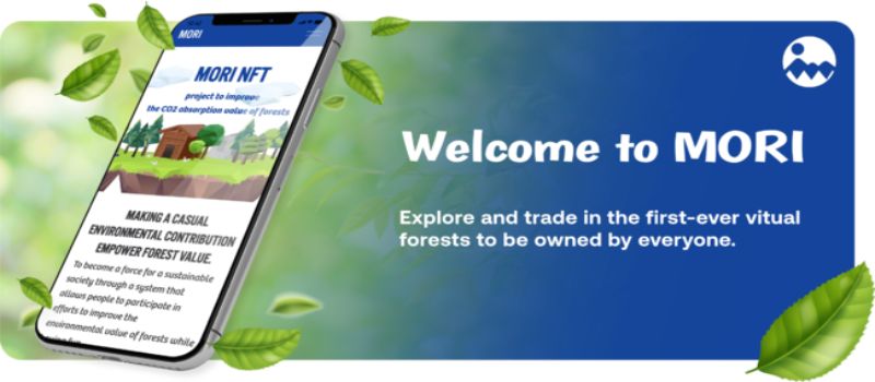 CO2吸収量に連動してNFT発行。森林整備を応援できるWeb3プロジェクト「MORI」始動