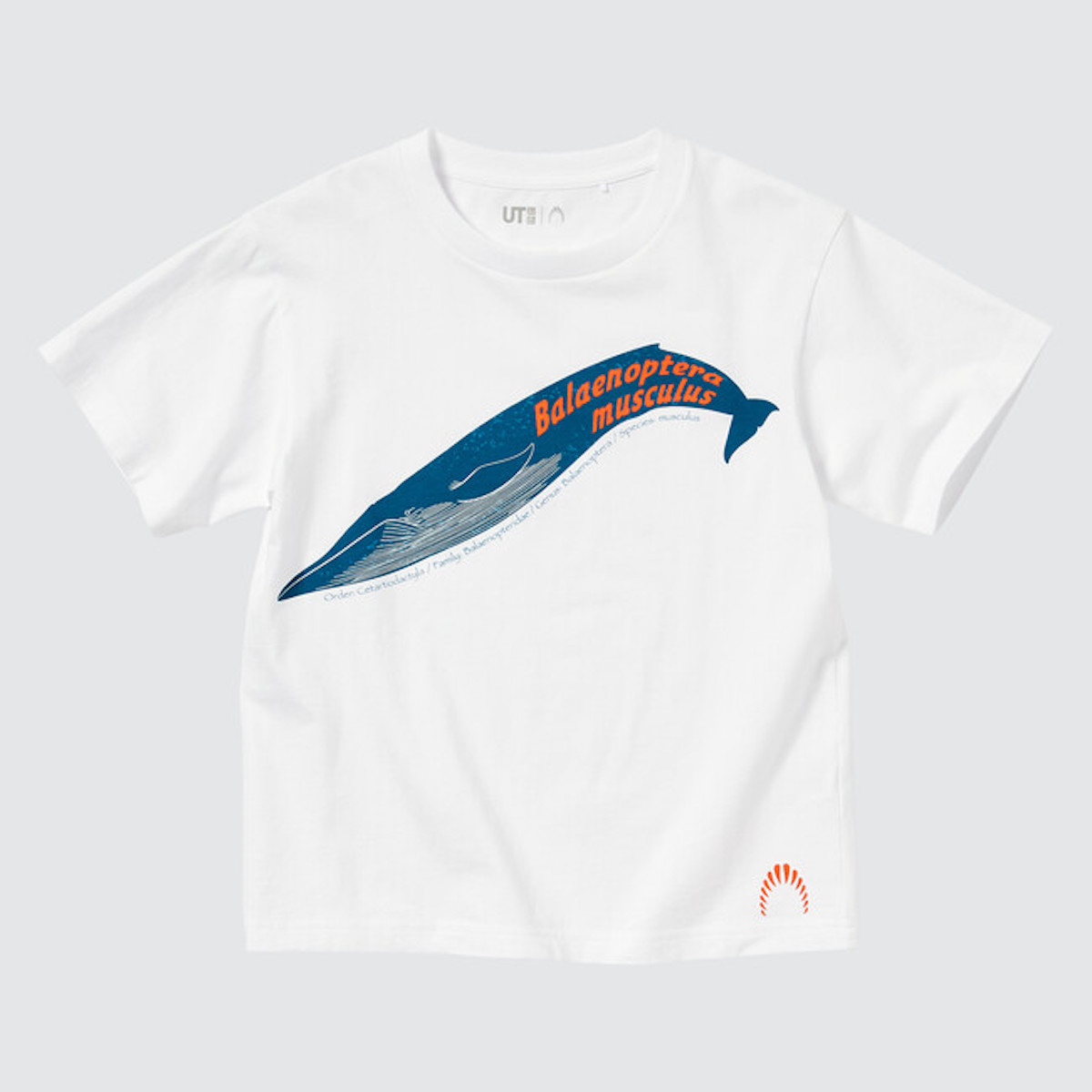 国立科学博物館×ユニクロがコラボ　キッズTシャツ3月13日より発売　恐竜やシロナガスクジラをデザイン