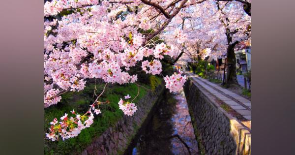 巣立ちの街「京都」で暮らしていたという経験は、人生に何をもたらすのか？　これからの「京都らしさ」（第12回）