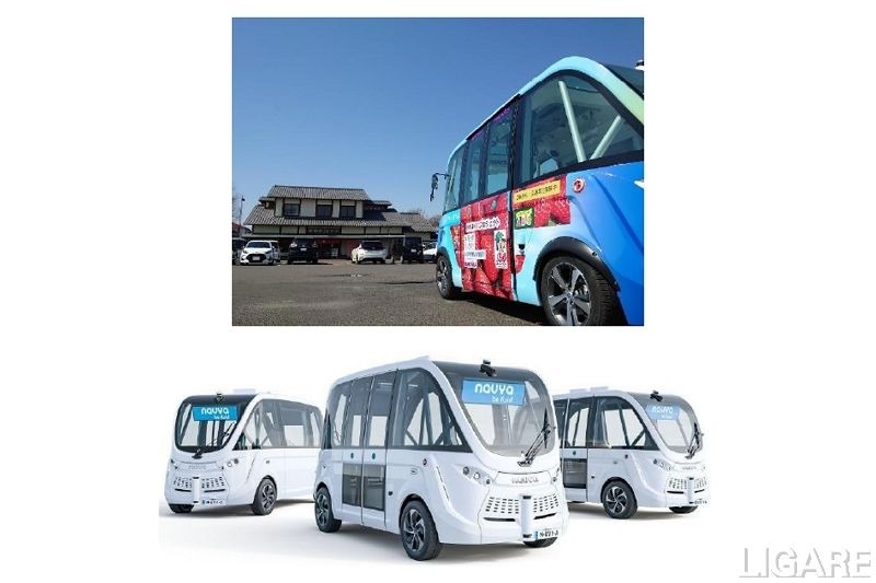 日本工営とマクニカ、自動運転バスを活用した実証を栃木県足利市で実施