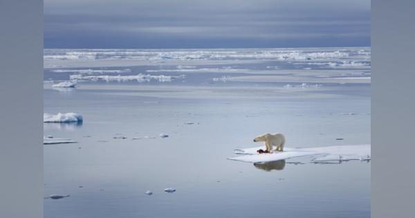 人類は「薄氷の上に」　2035年までに気温上昇1.5度の恐れ、国連が警告