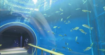 琵琶湖博物館が水槽破損で２回目第三者委　安全のためトンネル水槽も水を抜く／滋賀