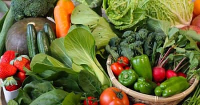慢性腎臓病の食事療法 「野菜・果物は摂取控えめ」という考え方が変わってきた