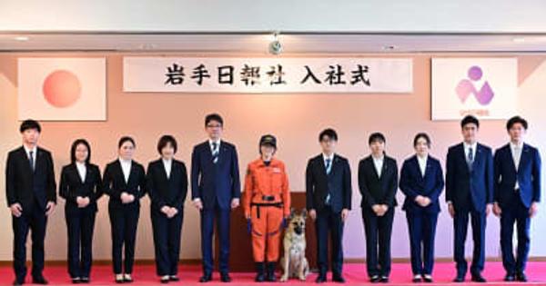 岩手日報社に初めて新入社犬が入社しました。
