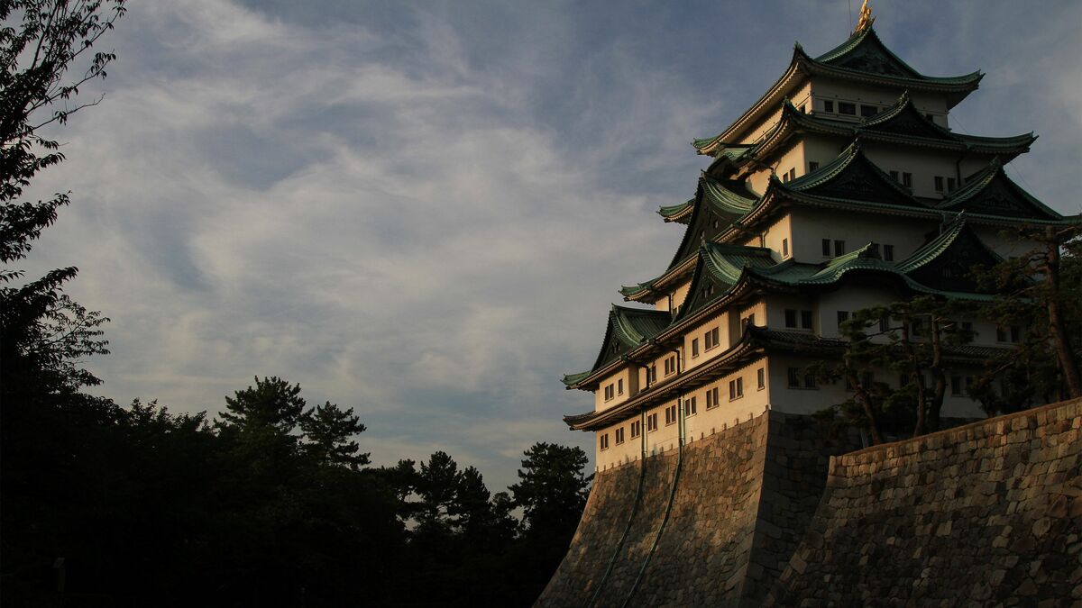 熊本城でも大坂城でも江戸城でもない城マニアが｢史上最強の軍事要塞｣と断言する城の名前 - 晩年の徳川家康が豊臣家との戦争に備えて建てた
