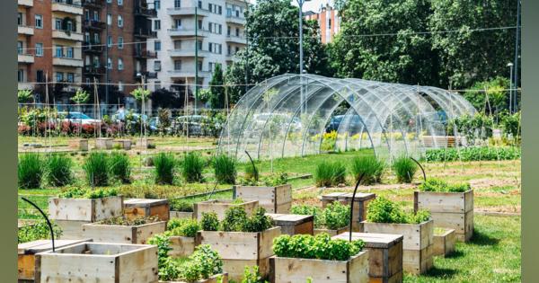 “都市農園”の生態系は、農村部よりも豊かなものになるかもしれない：研究結果