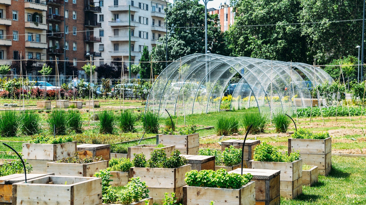“都市農園”の生態系は、農村部よりも豊かなものになるかもしれない：研究結果
