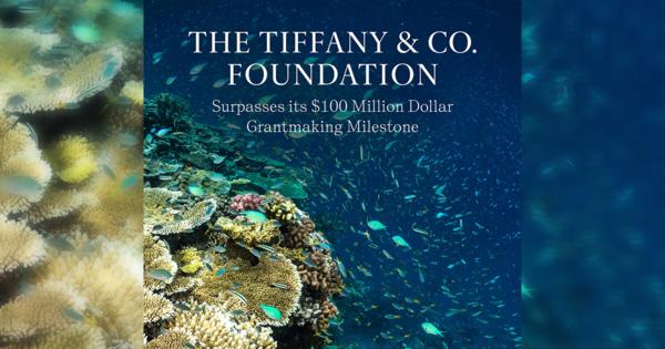 ティファニー財団が海洋や景観保護に1億ドル超の支援　20年以上の活動で
