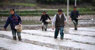 ハイブリッド稲栽培で農村の種子業振興を後押し　中国貴州省岑鞏県
