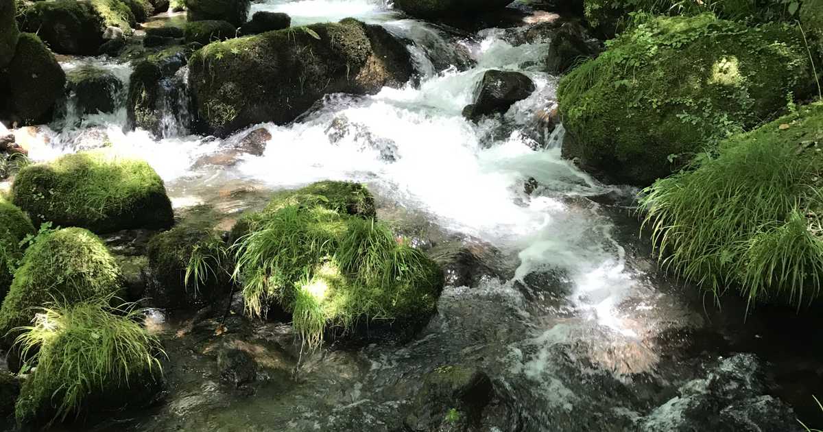 奥大山にも誕生する作家・倉本聰の「自然塾」　天然水の里が伝える地球環境のいま