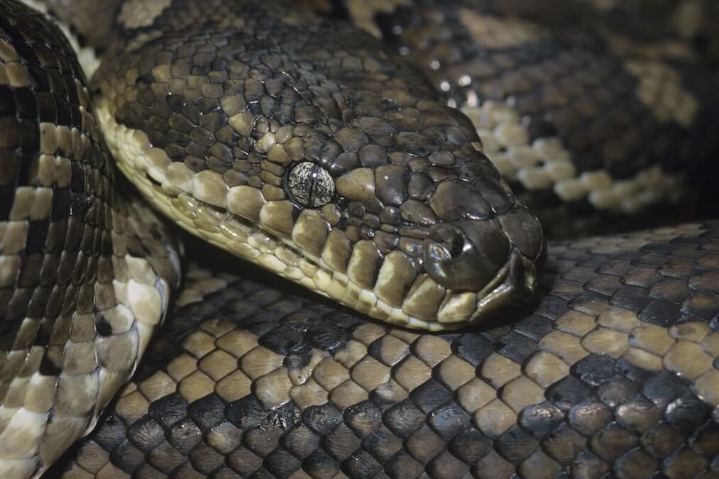 share?updatedAt=20230412093621