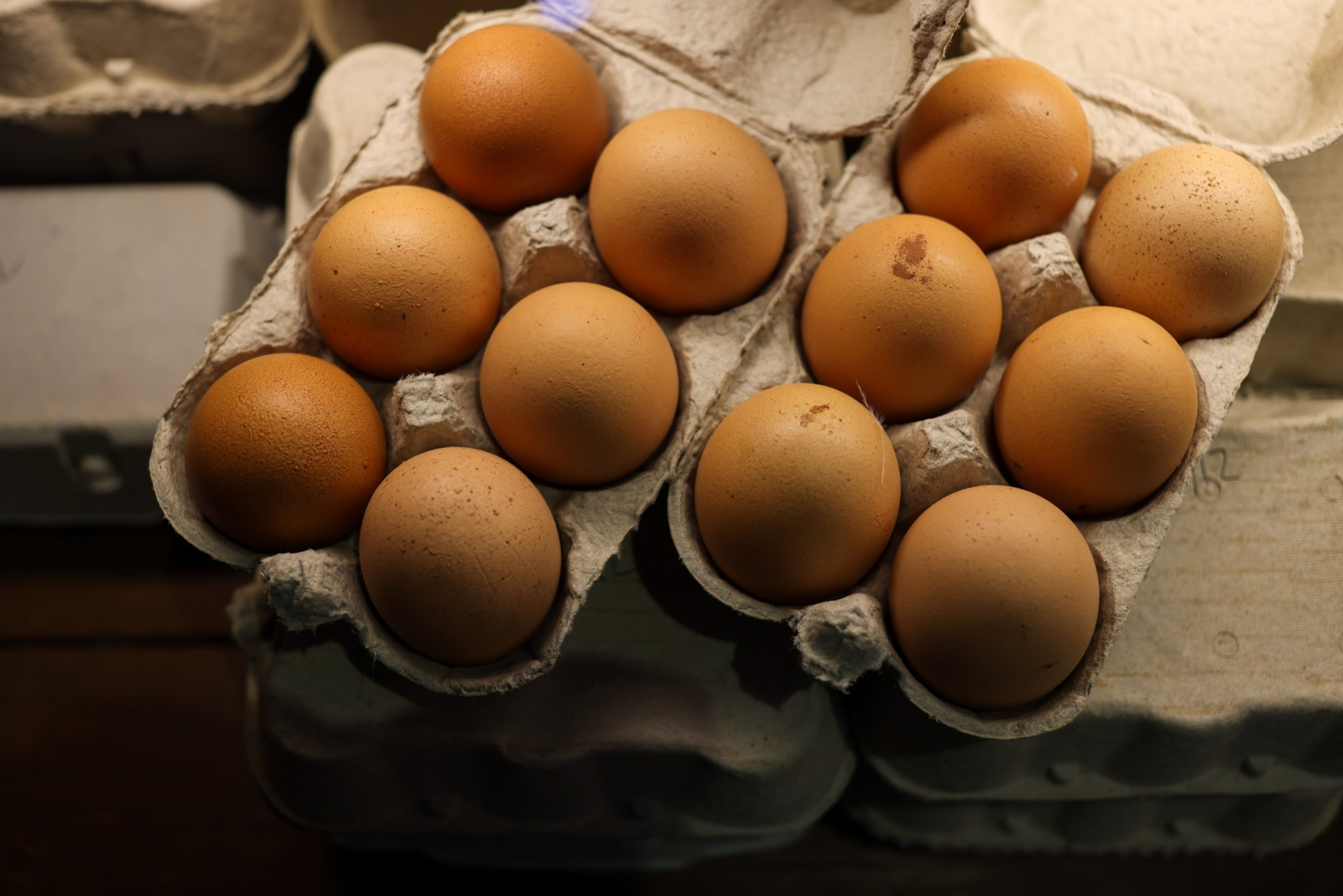 米国で鶏卵価格が1987年以来の大幅下落、消費者は安堵