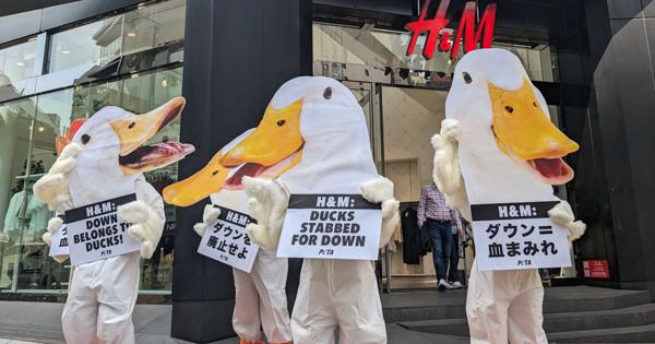 「ダウンを廃止せよ」　H&M渋谷店で動物愛護団体が抗議