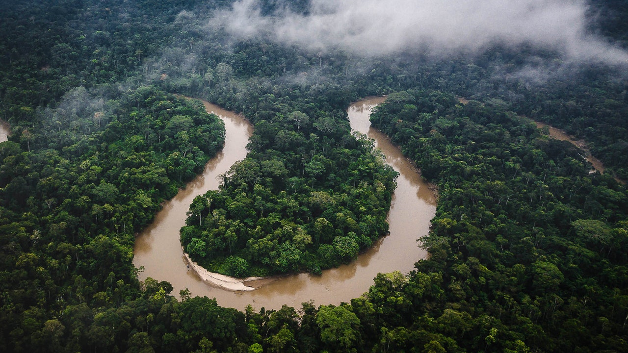 エルニーニョの発生予測で、アマゾン熱帯雨林の干ばつが危惧されている