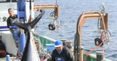 クロマグロの漁獲上限に迫る　岩手県、水揚げ自粛を要請