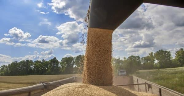 ポーランドとハンガリー、ウクライナ産穀物を禁輸　EUは容認せず
