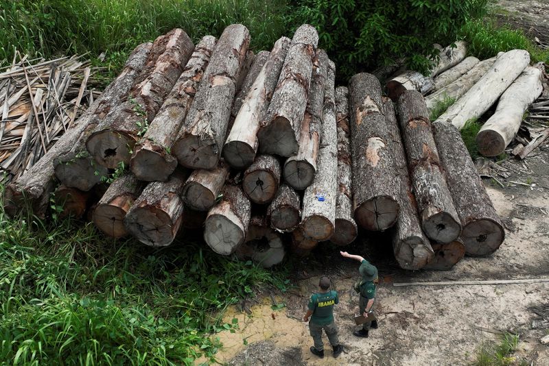 ＥＵ、森林破壊に関連した産品類の輸入禁止へ　欧州議会が承認