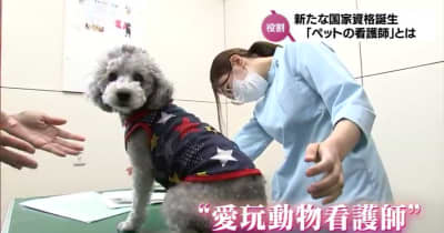 「ペットの看護師」こと「愛玩動物看護師」誕生の背景　需要高まる動物医療の現場で活躍期待