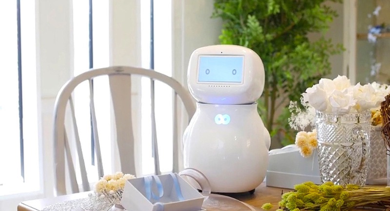 家庭用見守りロボット「cinnamon」に⾼齢者向けChat GPTが搭載、孤独感の解消となるか
