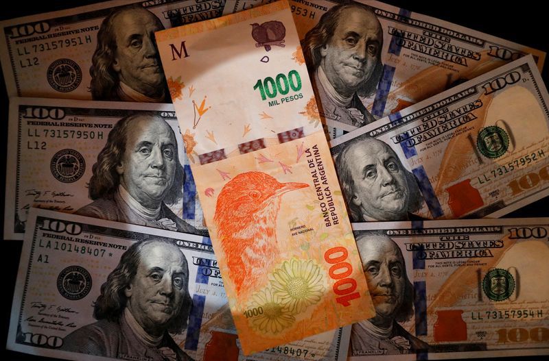 アルゼンチン中銀が10％利上げ、政策金利91％に　ペソ防衛で