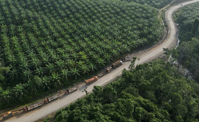 インドネシア、パーム油の国内販売義務を5月から緩和　輸出拡大へ