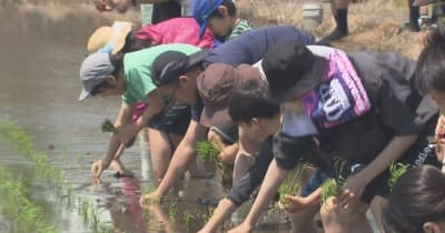 「子どもより夢中に」松戸市で農業体験 市民が田植えに挑戦