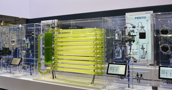 CO2吸収する藻類を高効率培養しバイオ燃料を製造、Festoが「モデル工場」を構築
