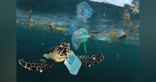 マイクロプラスチックの年齢が海洋ごみ問題の手がかりに
