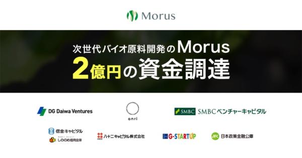 「Morus」がグローバル展開に向けたPreAラウンドで約2億円の資金調達を実施