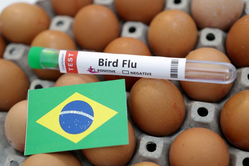 ブラジル、野鳥の鳥インフル感染受け緊急事態宣言　180日間