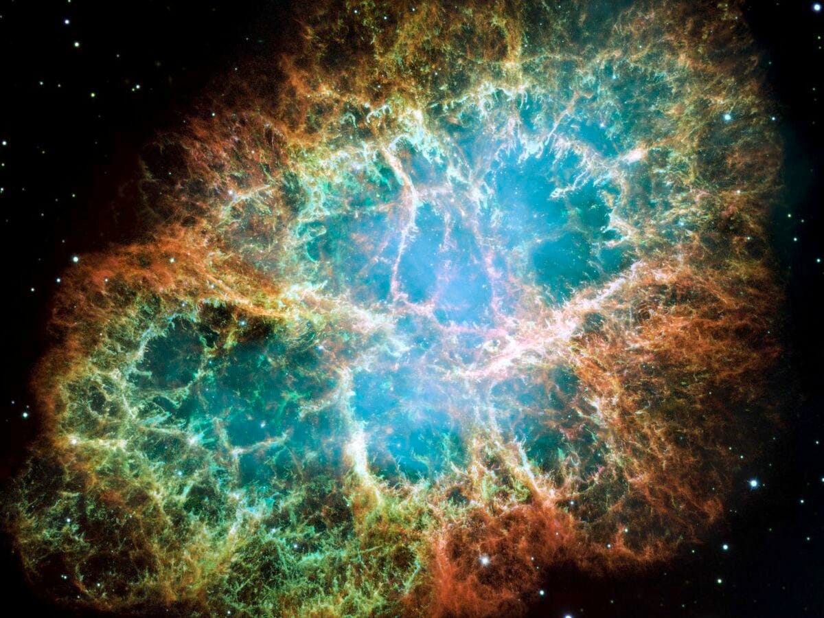 地球の「近く」で出現した超新星、世界が注視する理由は　宇宙物理学的に重要な意義を持つ、超新星ハンターの172個目の獲物
