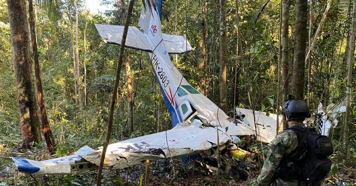 ジャングルに墜落した飛行機、4人の子ども達が生き延びる。40日ぶりの発見で「国中にとっての喜びだ！」とコロンビア大統領