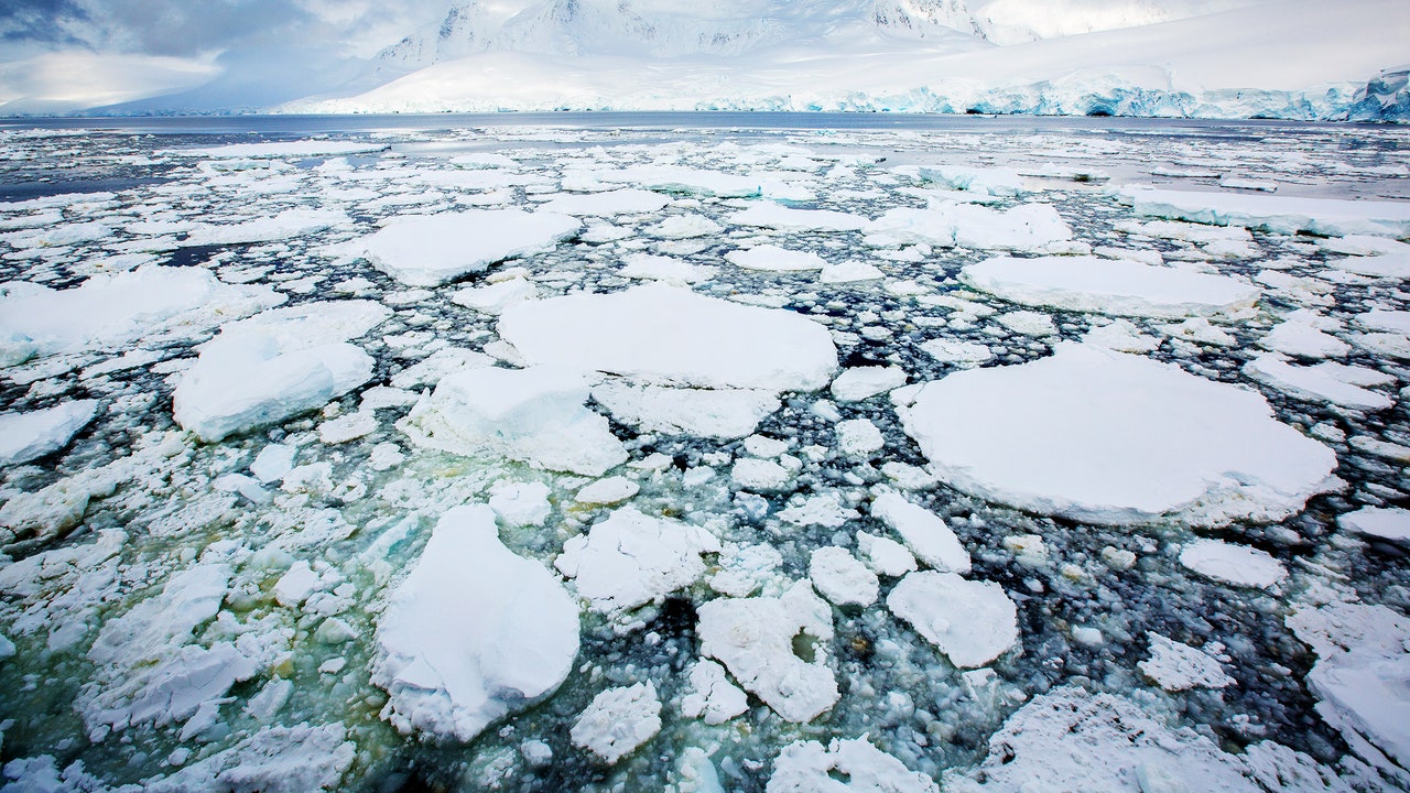 南極の海氷面積が過去最小を更新。警戒すべき変化が起きているのか？