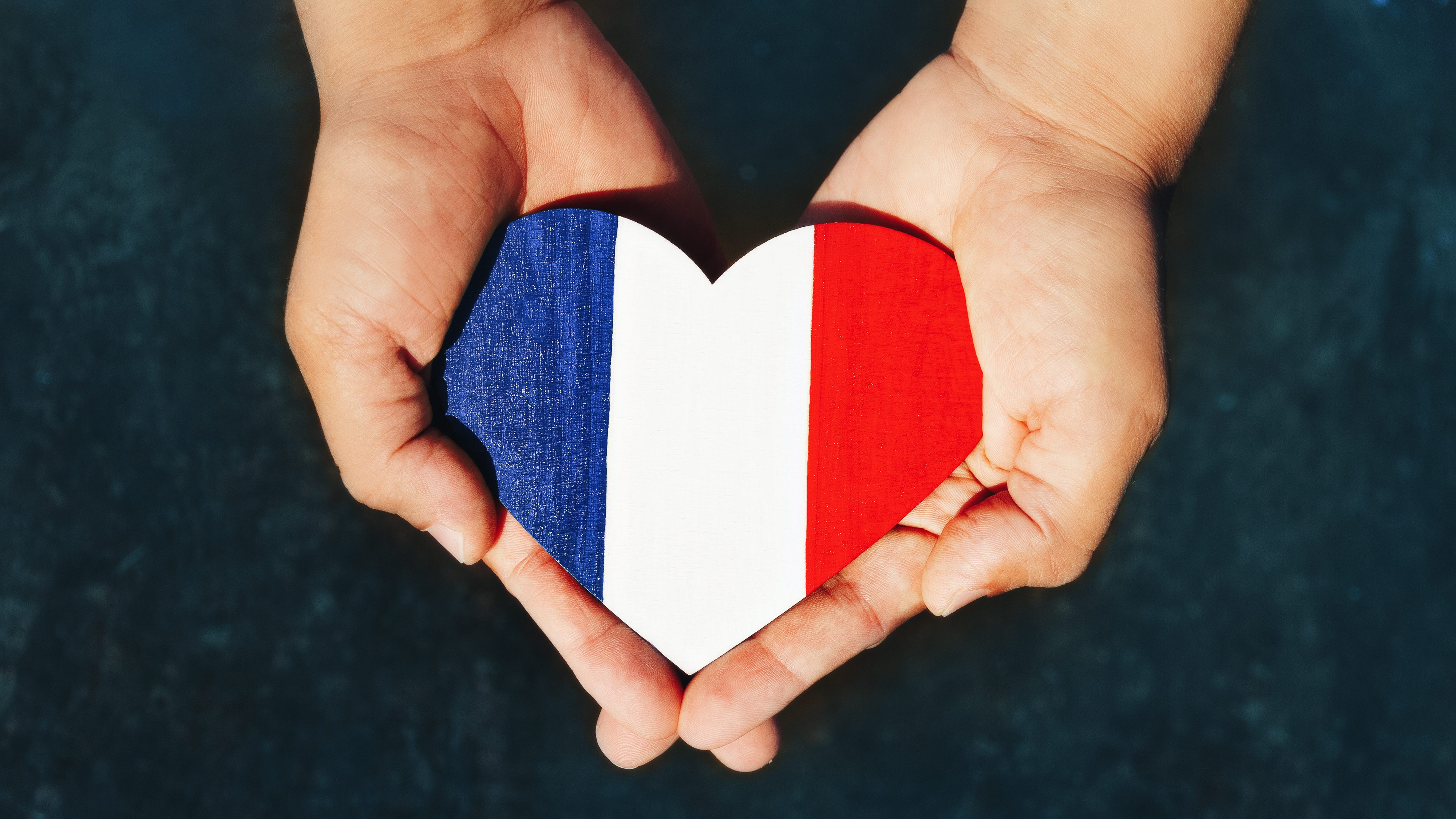 「愛国」をロマンチックに？　フランスで「右翼専用」のマッチングアプリが登場 | イデオロギーに基づく社交空間は今後も拡大するか