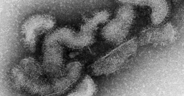 マダニが媒介「オズウイルス」に感染、女性死亡　発症報告は世界初