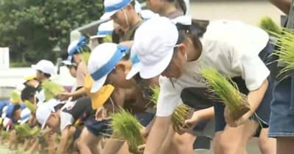 「田植え」特別授業　農業学ぶ高校生と小学生が苗植え　大分