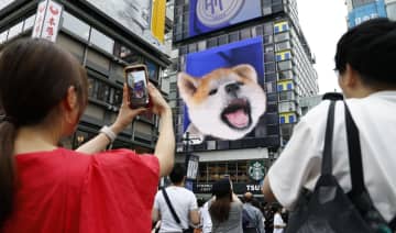 道頓堀に「秋田犬」登場　3D画面、観光客に人気