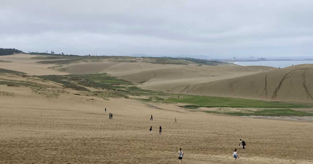 外来種に侵食される鳥取砂丘がＳＯＳ　除草作戦へ３千人出動めざす