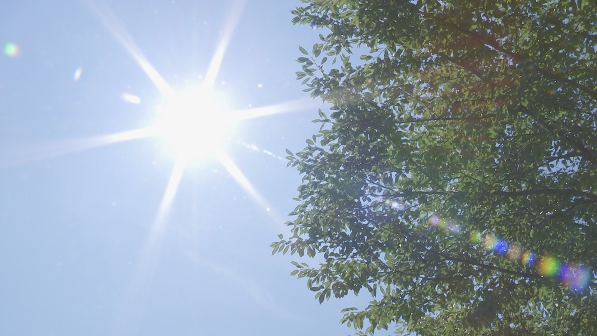 【速報】群馬・桐生で気温39.4度観測　今年の国内最高気温を更新