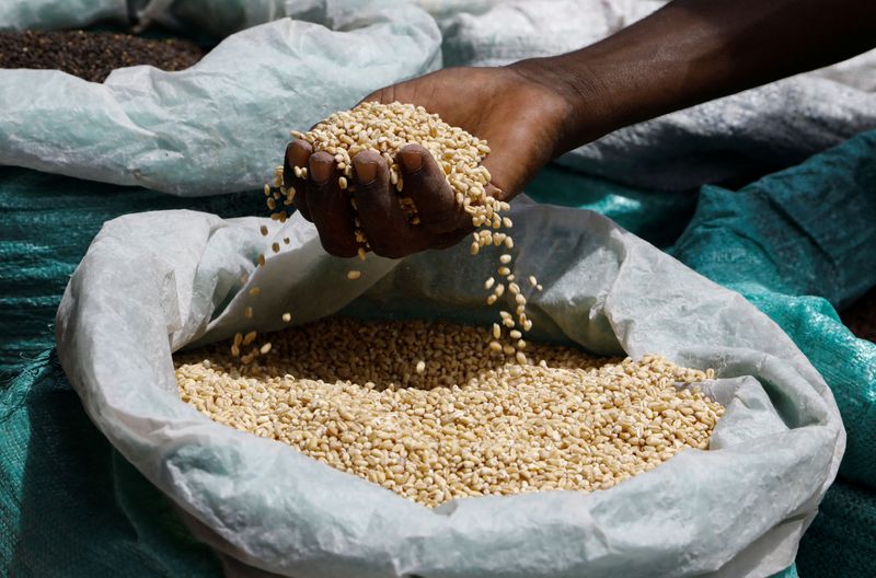 焦点：ロシア穀物合意離脱にアフリカ衝撃、食料価格2倍予測も