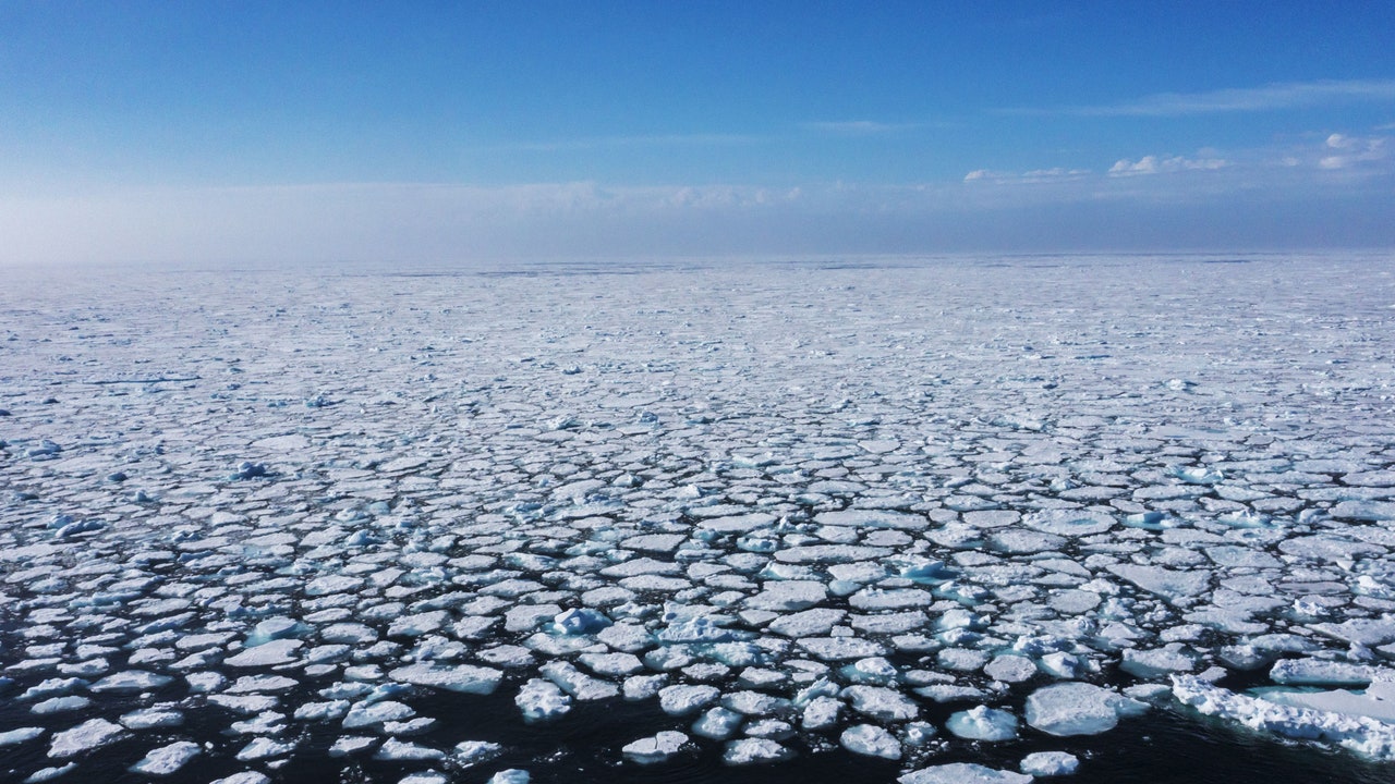 マイクロプラスチック汚染は北極圏にまで及んでいる：調査結果