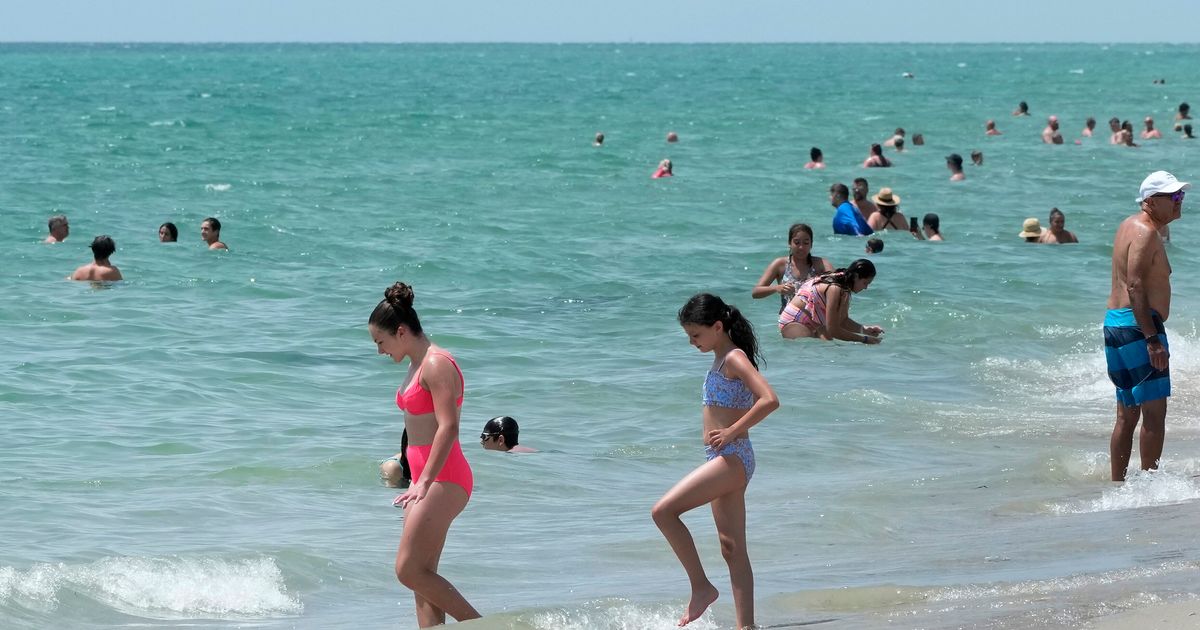 猛暑続くフロリダ州、海水温38℃を記録。「これはお風呂の温度だ」