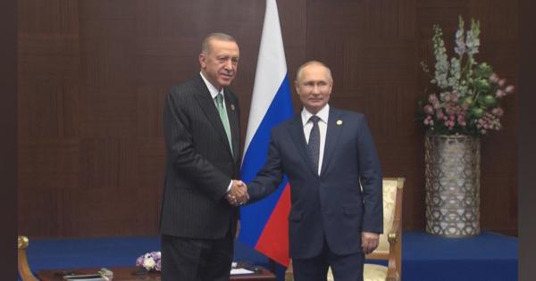 穀物輸出「合意延長の意味がない」プーチン氏　トルコ大統領との電話会談で主張繰り返す