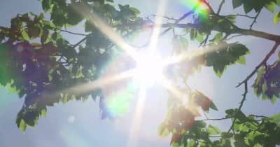 猛暑続く新潟県　三条市は39.6度　糸魚川市では観測史上最高の39.3度　11日も「熱中症警戒アラート」発表