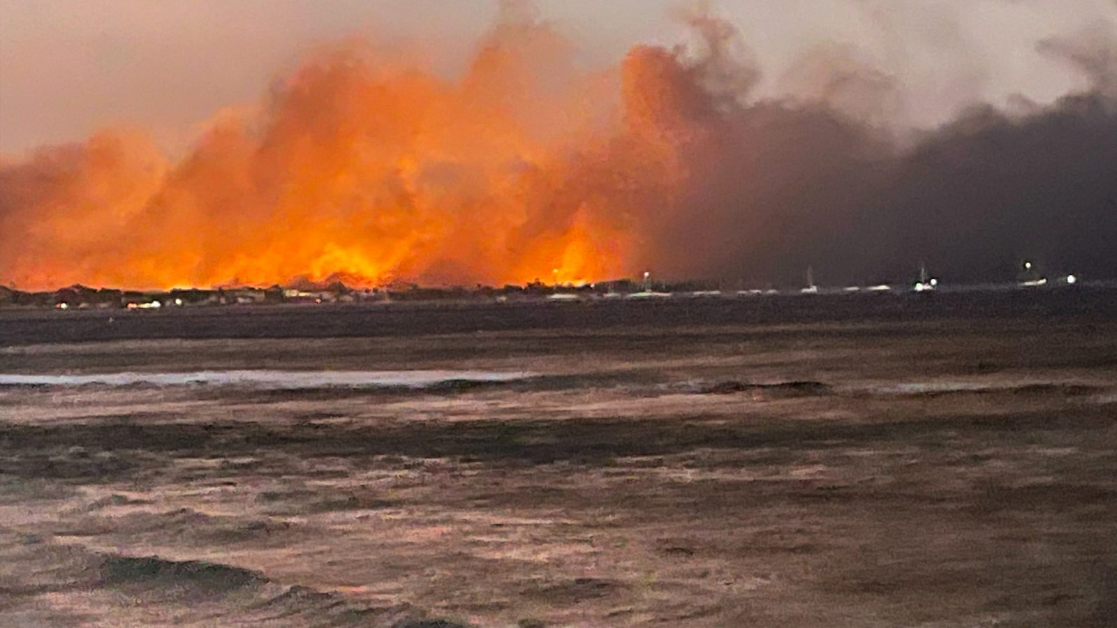 海中で5時間、彼女はこうしてハワイ・マウイ島の山火事を生き延びた | 「死にいちばん近かった」