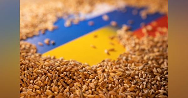 ロシア、ウクライナ南部の港湾施設を攻撃　穀物貯蔵施設に被害
