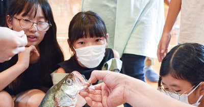 魚市場の仕組み学ぶ 中川西小でプロが出前授業　横浜市都筑区